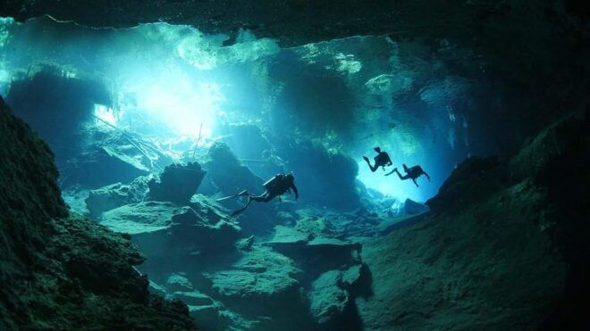 Playa Del Carmen: Explore the Surreal World of Cenote Diving - Inclusions and Essentials