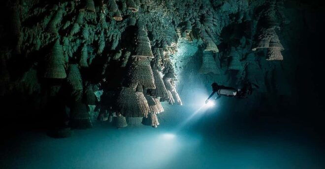 Playa Del Carmen: Explore the Surreal World of Cenote Diving - Cenote Diving Safety Considerations