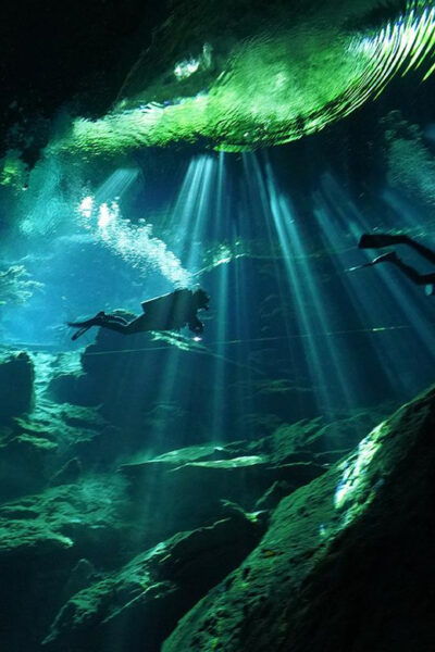 Playa Del Carmen: Explore the Surreal World of Cenote Diving - Unique Features of Cenote Diving