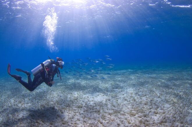 Playa Del Carmen: Extreme Cozumel Diving by Speed Boat - Included Services