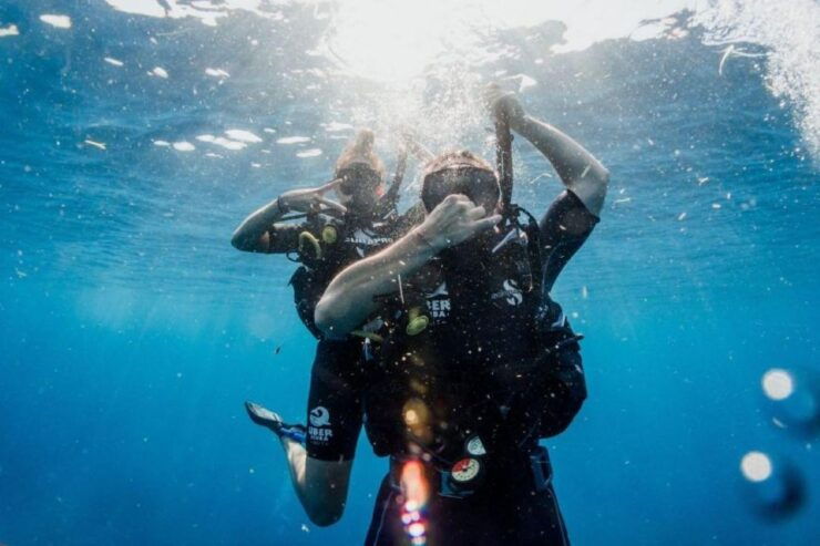 Playa Del Carmen: Fun Dive Experience for Certified Divers - Activity Details