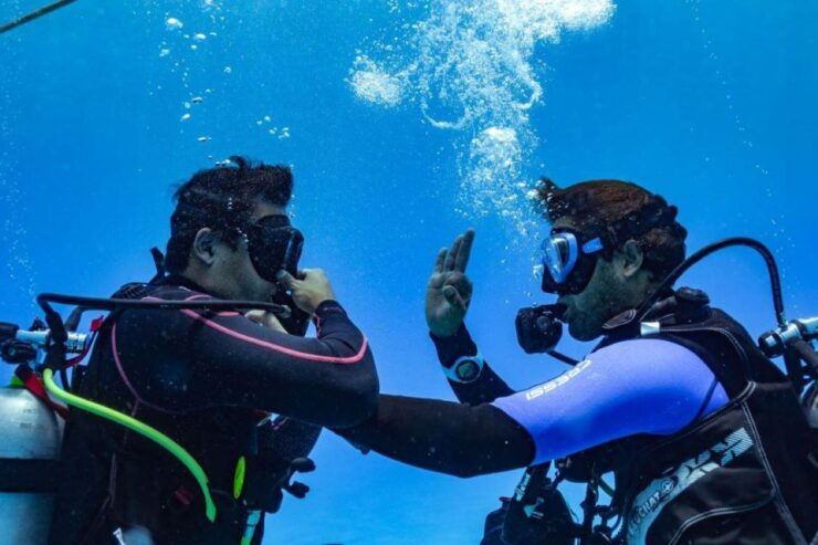 Playa Del Carmen: Fun Dive Experience for Certified Divers - Diving Experience