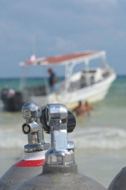 Playa Del Carmen: Guided Cenote Diving Adventure - Diving Gear Provided
