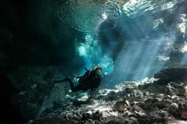 Playa Del Carmen: Guided Cenote Diving Adventure - Pricing and Booking