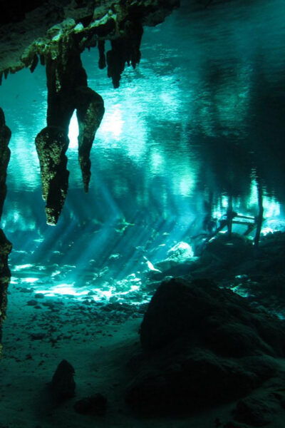 Playa Del Carmen: High-Octane Cenote Diving Combo - Cenote Exploration