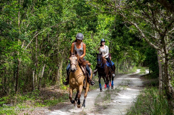Playa Del Carmen Horseback Riding at Rancho Baaxal  - Punta Sam - Ranch Location and Accessibility