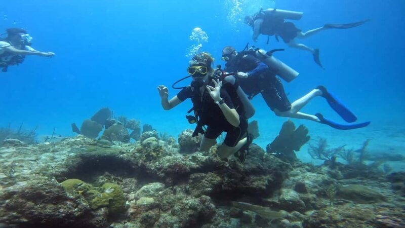 Playa del Carmen: Introductory Scuba Diving at Coral Reefs - Final Thoughts: Is It Worth It?