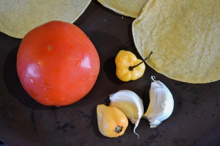 Playa Del Carmen: Isa'S Authentic Mexican Cooking Class - Experience Highlights
