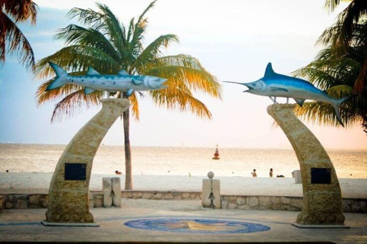 Playa Del Carmen: Isla Mujeres Unlimited Open Bar Catamaran - Good To Know