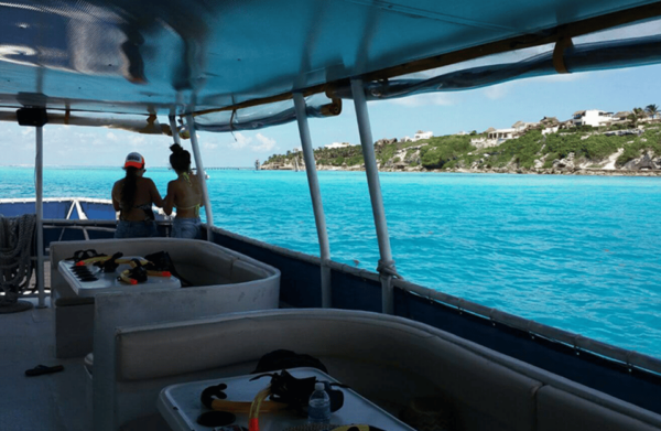 Playa Del Carmen: Isla Mujeres Unlimited Open Bar Catamaran - Explore Vibrant Marine Life