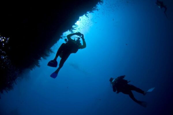 Playa Del Carmen: Local Reef Diving in Riviera Maya - Frequently Asked Questions