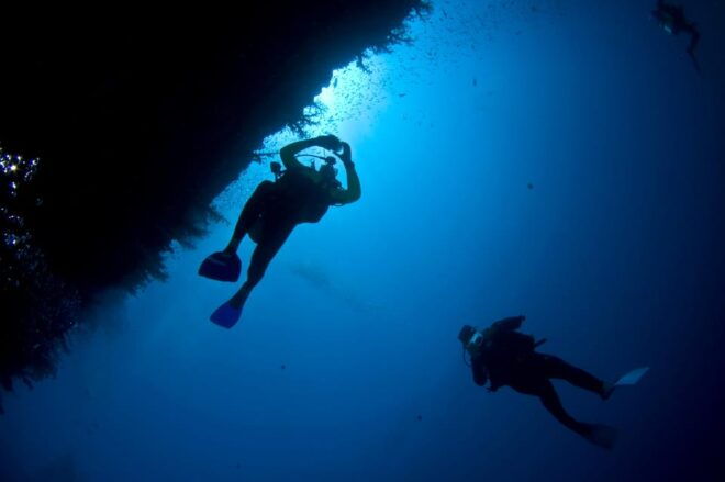 Playa Del Carmen: Local Reef Diving in Riviera Maya - Inclusions and Equipment Rental
