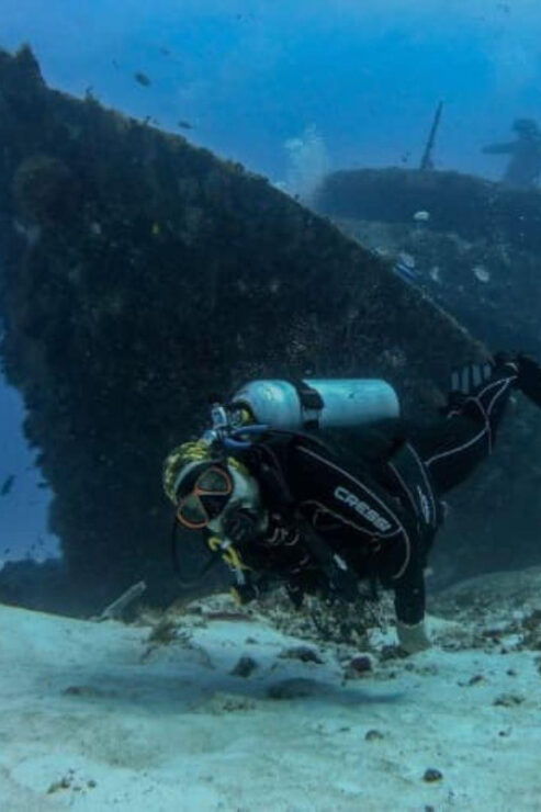 Playa Del Carmen: Mama Viña Shipwreck & Reef Diving - Good To Know