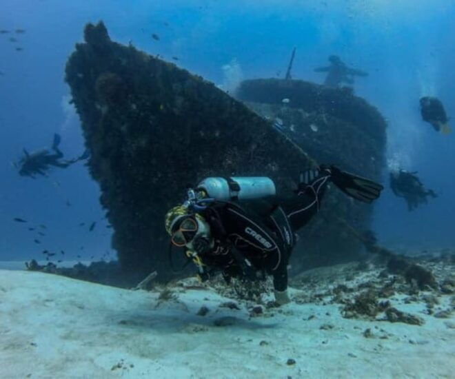 Playa Del Carmen: Mama Viña Shipwreck & Reef Diving - Group Details