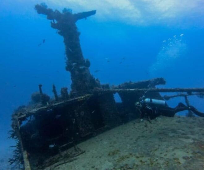 Playa Del Carmen: Mama Viña Shipwreck & Reef Diving - Additional Inclusions