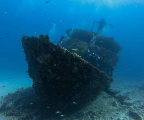 Playa Del Carmen: Mama Viña Shipwreck & Reef Diving - Certification Requirement