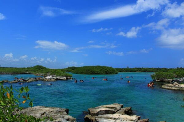 Playa Del Carmen: Mayan Adventour & Snorkeling in Cenote - Physical Limitations and Recommendations