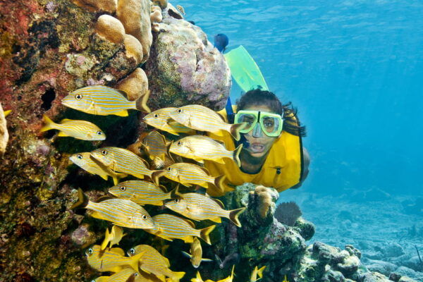 Playa Del Carmen: Mayan Adventour & Snorkeling in Cenote - Physical Limitations and Recommendations