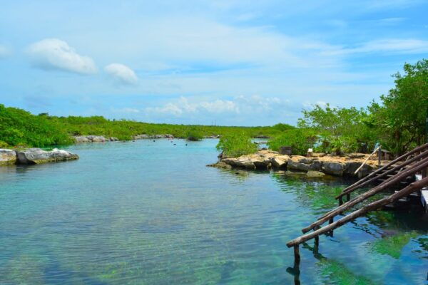 Playa Del Carmen: Mayan Adventour & Snorkeling in Cenote - Frequently Asked Questions