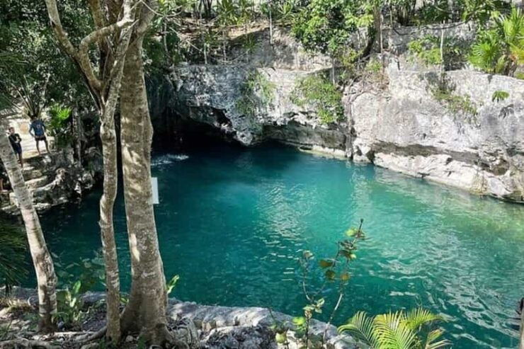 Playa Del Carmen: Mayan Jungle Atv, Cenote and Zip Line - Good To Know