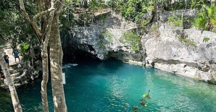 Playa Del Carmen: Mayan Jungle Atv, Cenote and Zip Line - Pricing and Reservation