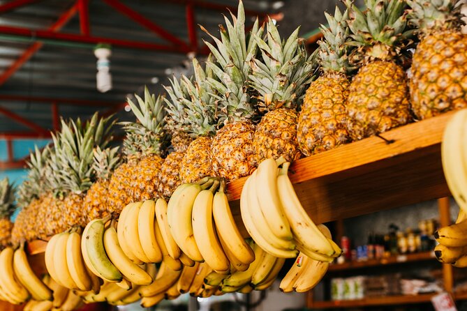 Playa Del Carmen Mexican Cooking Experience and Local Markets Tour - Common Questions