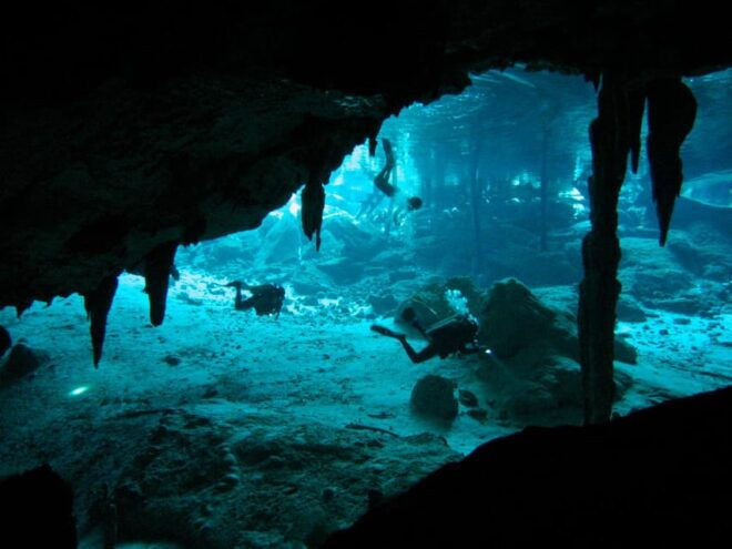 Playa Del Carmen: Mind-Blowing Diving @ Cenote Dos Ojos - Private Guided Dives