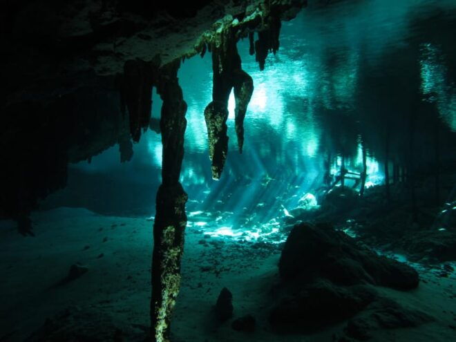 Playa Del Carmen: Mind-Blowing Diving @ Cenote Dos Ojos - Tailored Experiences for All