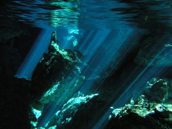 Playa Del Carmen: Mind-Blowing Diving @ Cenote Dos Ojos - Booking and Cancellation Policy