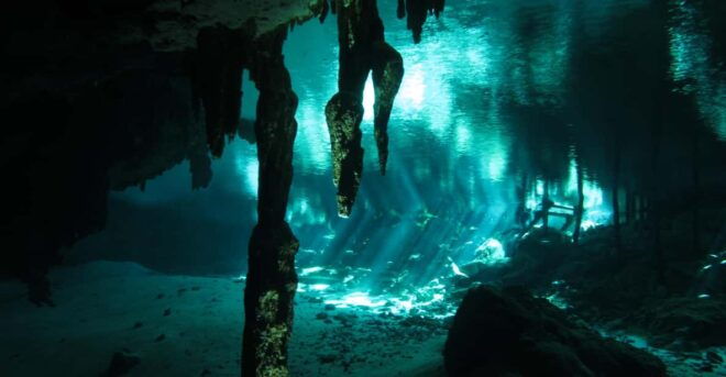 Playa Del Carmen: Mind-Blowing Diving @ Cenote Dos Ojos - Tailored Experiences for All