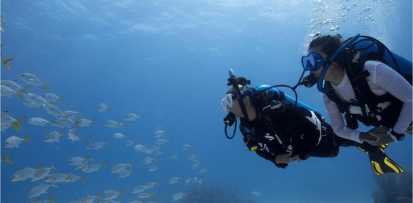 Playa Del Carmen: Ocean Dive Tour - Dive Depths and Levels