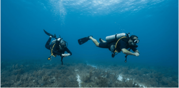 Playa Del Carmen: Open Water Diver Course - Inclusions