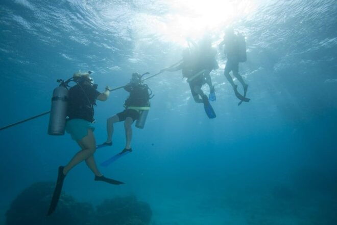 Playa Del Carmen: PADI Advance Open Water in Riviera Maya - Course Inclusions