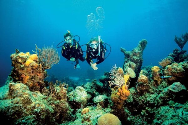 Playa Del Carmen: PADI Advance Open Water in Riviera Maya - Frequently Asked Questions