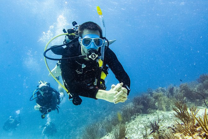 Playa Del Carmen: PADI Discover Scuba Diving With Instructor - Overview and Benefits