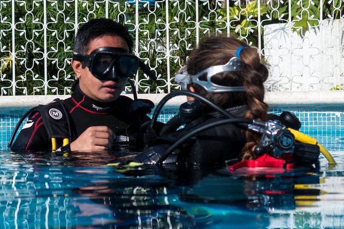 Playa Del Carmen: PADI Discover Scuba Diving With Instructor - Instructor Quality
