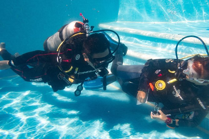 Playa Del Carmen: PADI Discover Scuba Diving With Instructor - Common Questions