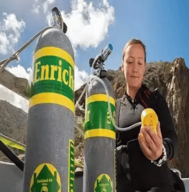 Playa Del Carmen: PADI Nitrox Speciality Course - Transportation and Refreshments