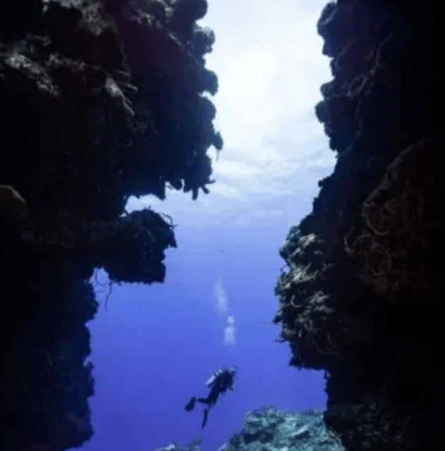 Playa Del Carmen: PADI Open Water Certification - Safety Considerations