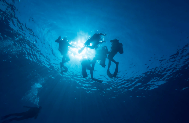 Playa Del Carmen: PADI Open Water Diver Certification Course - Certification and Depth Restrictions