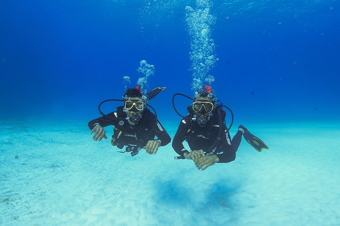 Playa Del Carmen Private Basic Diver Baptism Experience - Ticket Redemption and Location