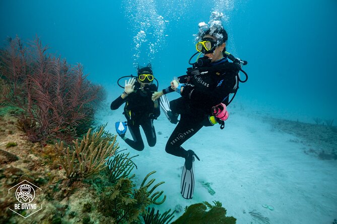 Playa Del Carmen Private Basic Diver Baptism Experience - Expectations and Requirements
