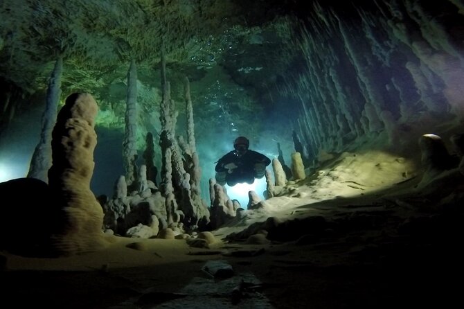 Playa Del Carmen Private Cenote Two Dives for Certified Divers - Private Cenote Experience Options