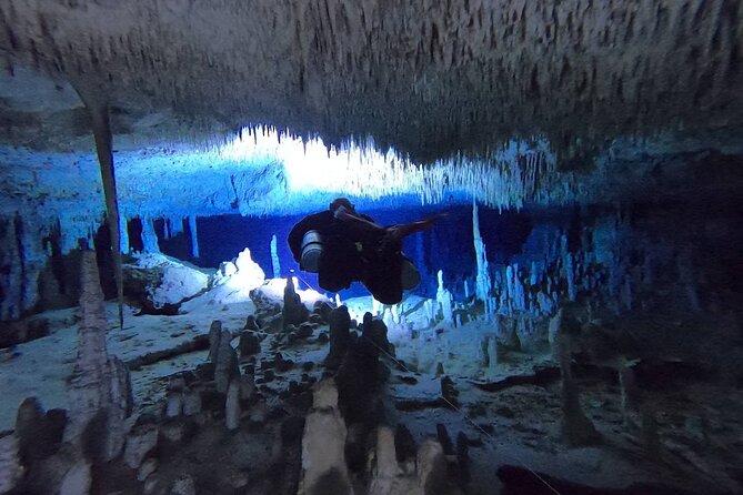 Playa Del Carmen Private Cenote Two Dives for Certified Divers - Common Questions