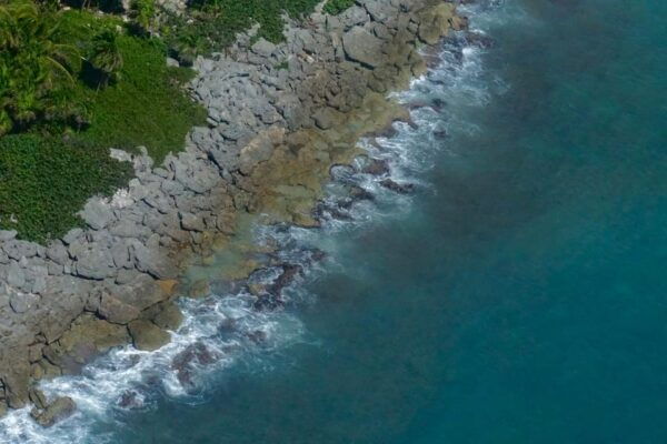 Playa Del Carmen: Private Flight to Cozumel - Accessibility and Language Support