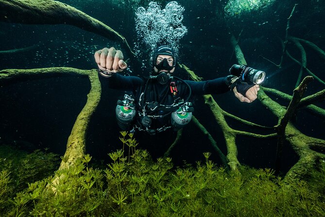 Playa Del Carmen Private Scuba Diving Tour - Tour Overview and Highlights