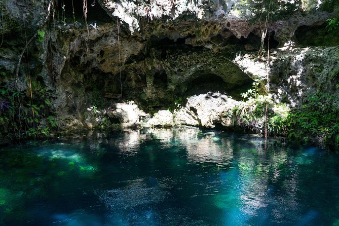 Playa Del Carmen Private Snorkeling, Cenote and Zipline Tour - Expectations and Requirements