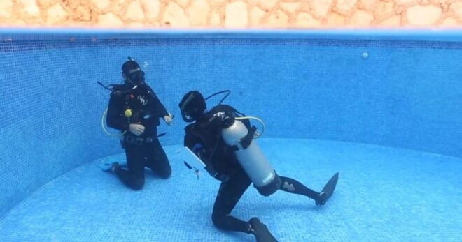 Playa Del Carmen: Refresher Dive - Experience Highlights