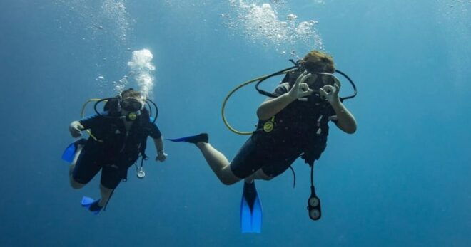 Playa Del Carmen: Refresher Dive - Experience Highlights