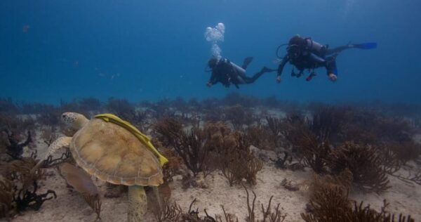 Playa Del Carmen: Refresher Dive - What to Bring